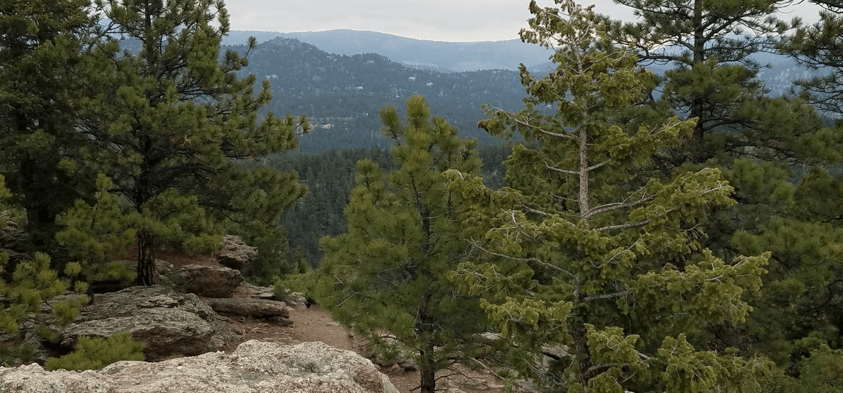 Social Hike: Alderfer/Three Sisters Park