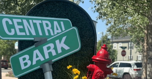 Central Bark 2026