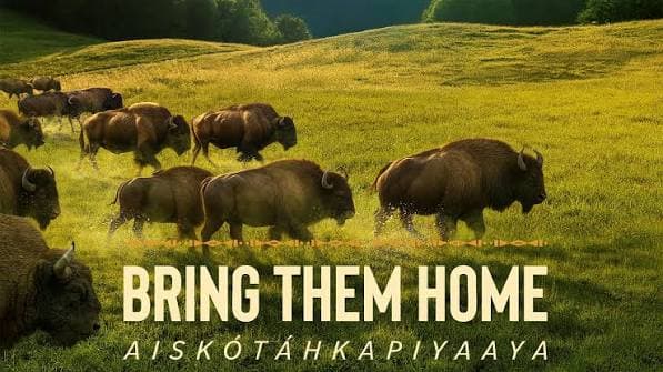 Bring Them Home Film Screening