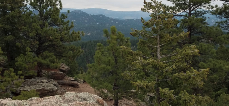 Alderfer/Three Sisters Park Social Hike