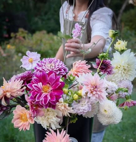 Flower Power: A Dahlia Design Class