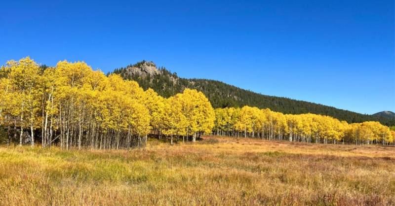 Social Hike: Horseshoe Trail to Frazer Meadow