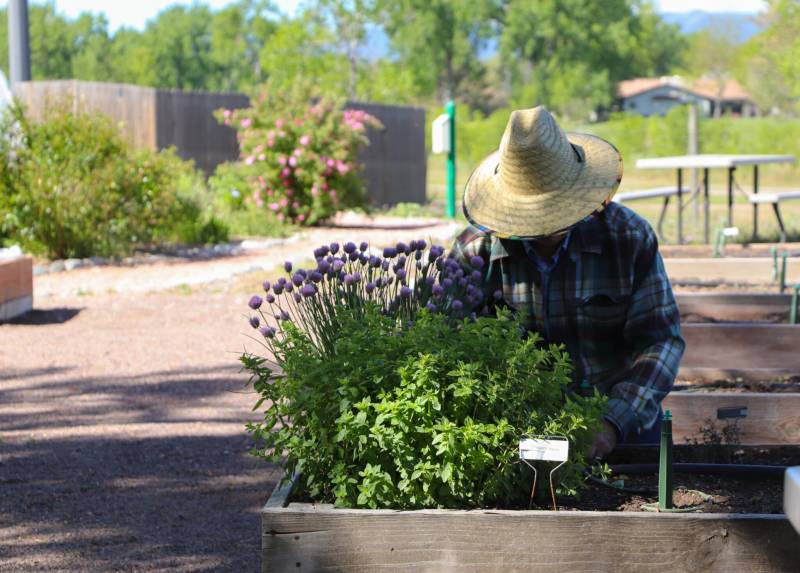  Meet the Veggie Gardener at Hudson Gardens