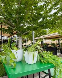 Plant Bingo at Lowry Beer Garden
