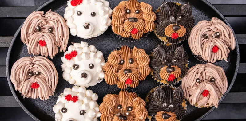 Pawsh Hour: Pup-Town Funk at The Ritz-Carlton