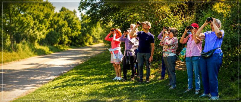 Morning Birding Walk on the Canal