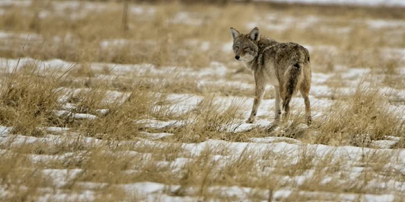 Winter Solstice Walk