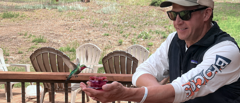 Colorado Hummingbird Sanctuary