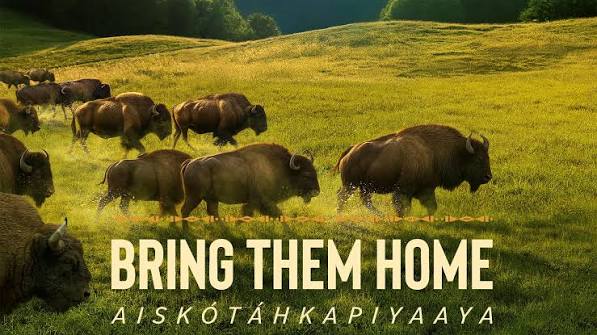 Bring Them Home Film Screening 9/29/26