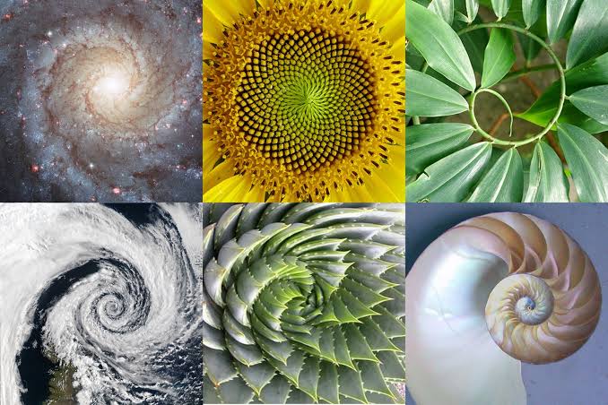 Math in Bloom Presents Fibonacci Day