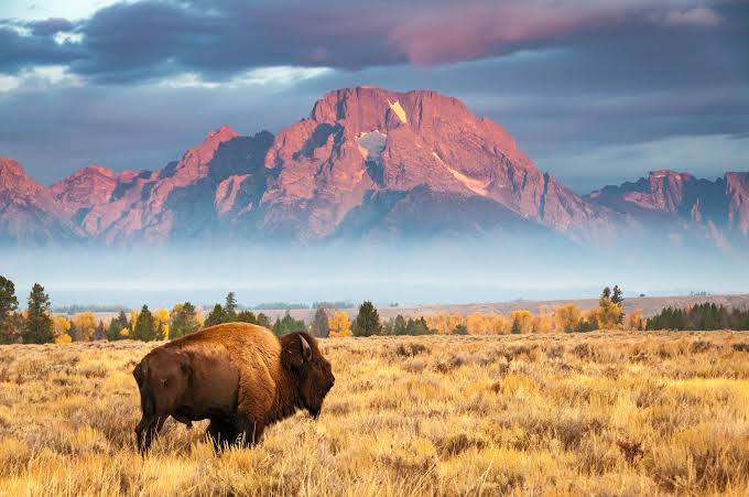 America’s Sacred Secular Places: Visiting National Parks as Pilgrimage