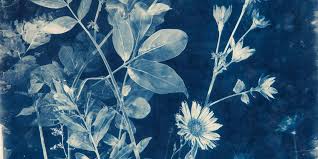 Gallery Talk:  George Curtis Levi & Halcyon Levi 8/18/26